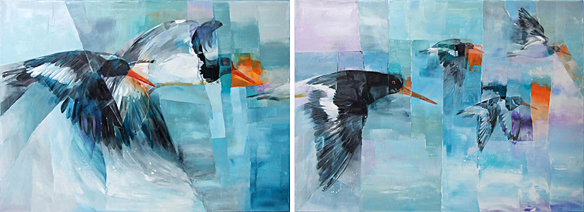 sheila brwon nz bird artist and painter